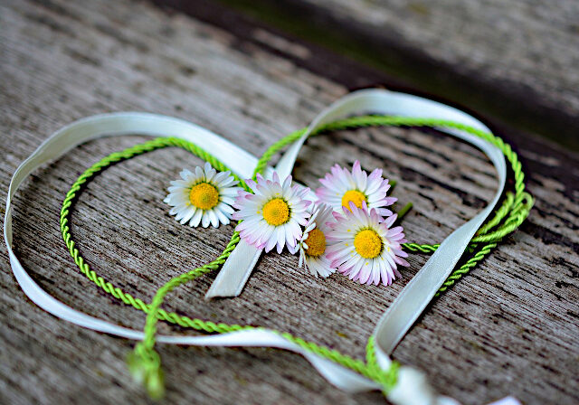 bild_start_herzlich_pflege24-ams-freiburg_640x460